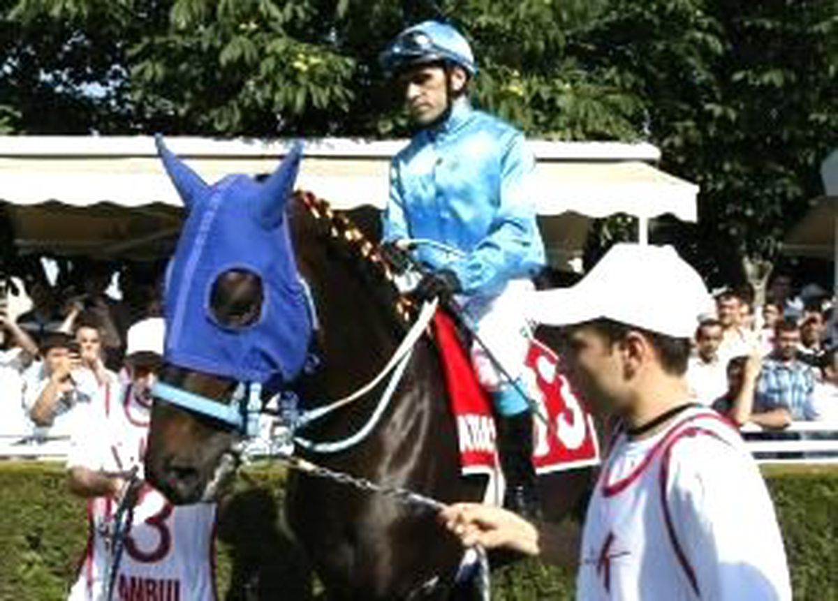 Kazanan Matador Yaşar