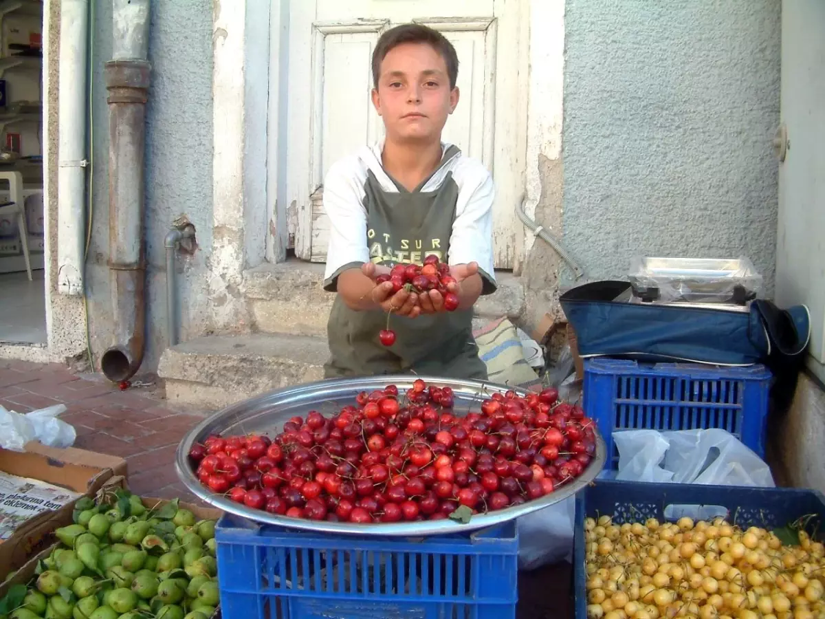 Burhaniye\'nin Küçük Manavı İlgi Çekiyor