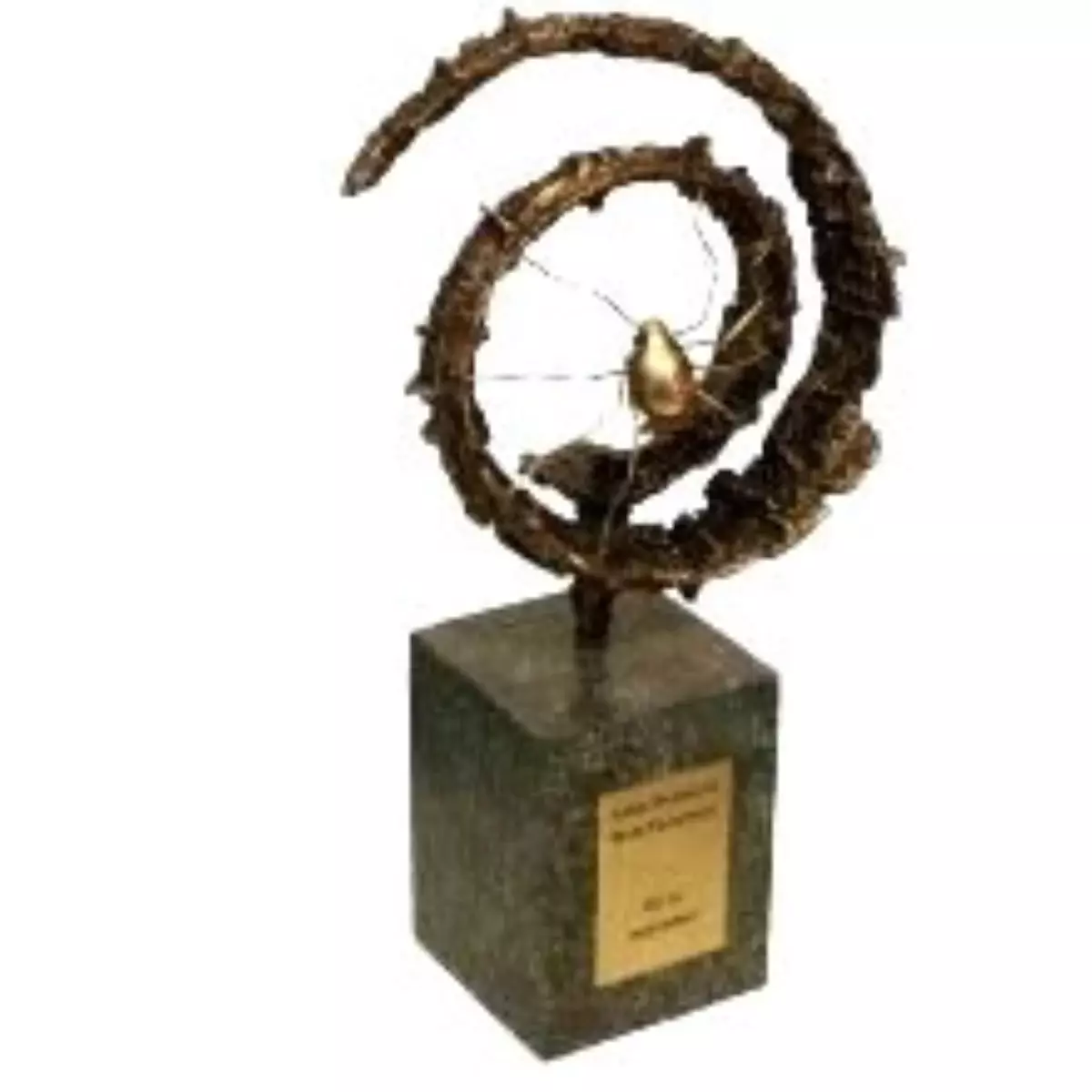 Örümceğin altınları onun