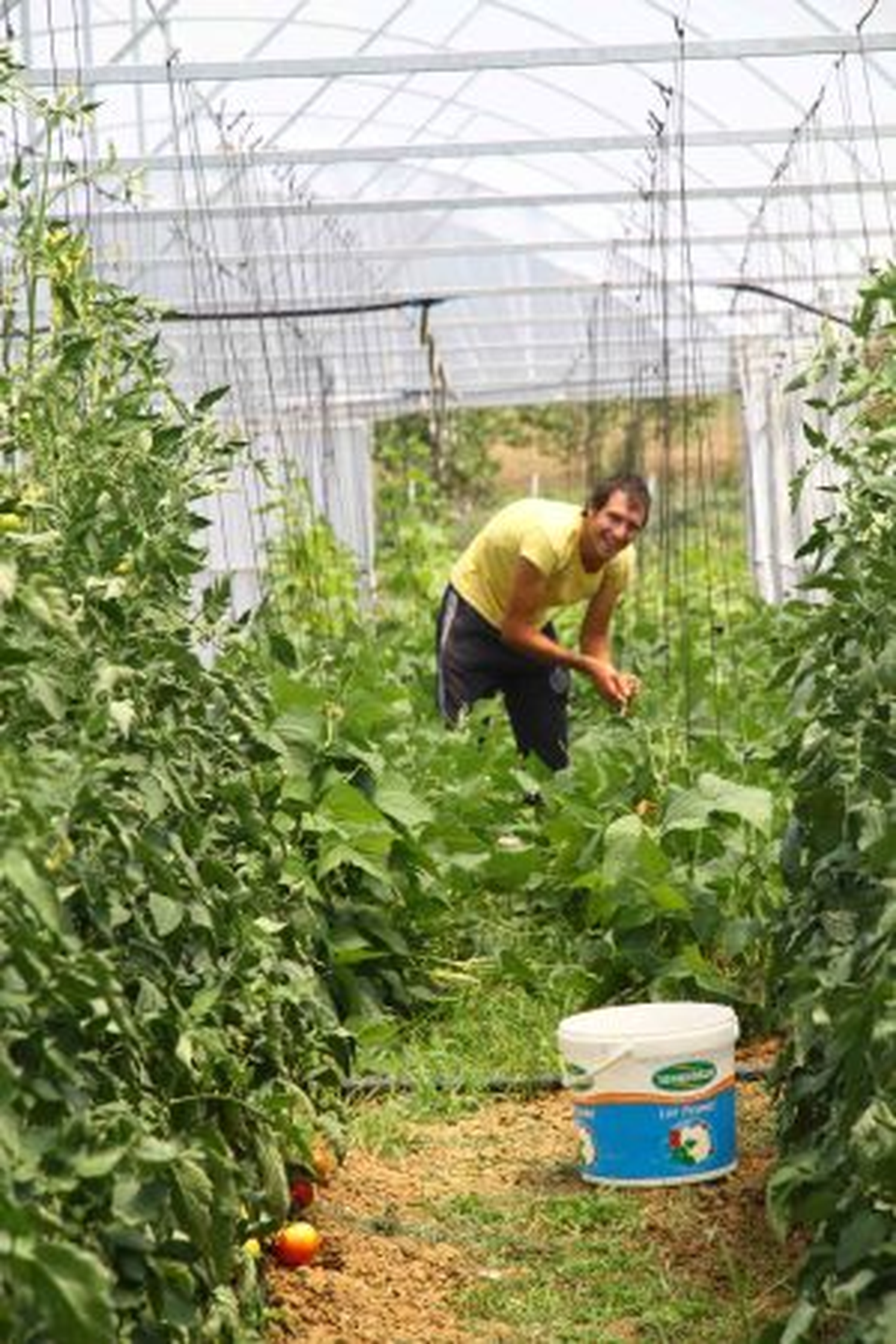 Damlama Sulama İlk Ürünlerini Verdi