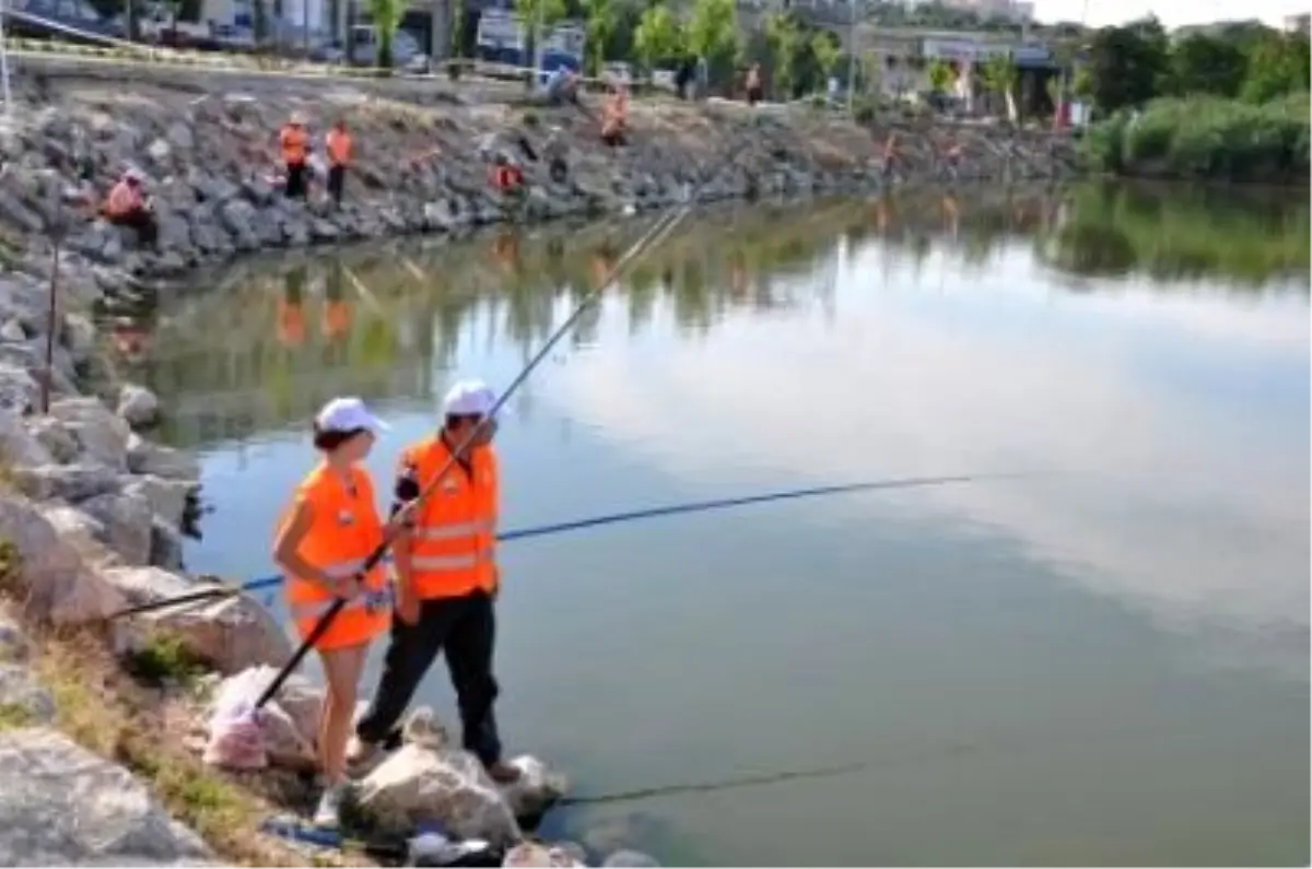 Oltalar En Büyük Sazan İçin Atıldı