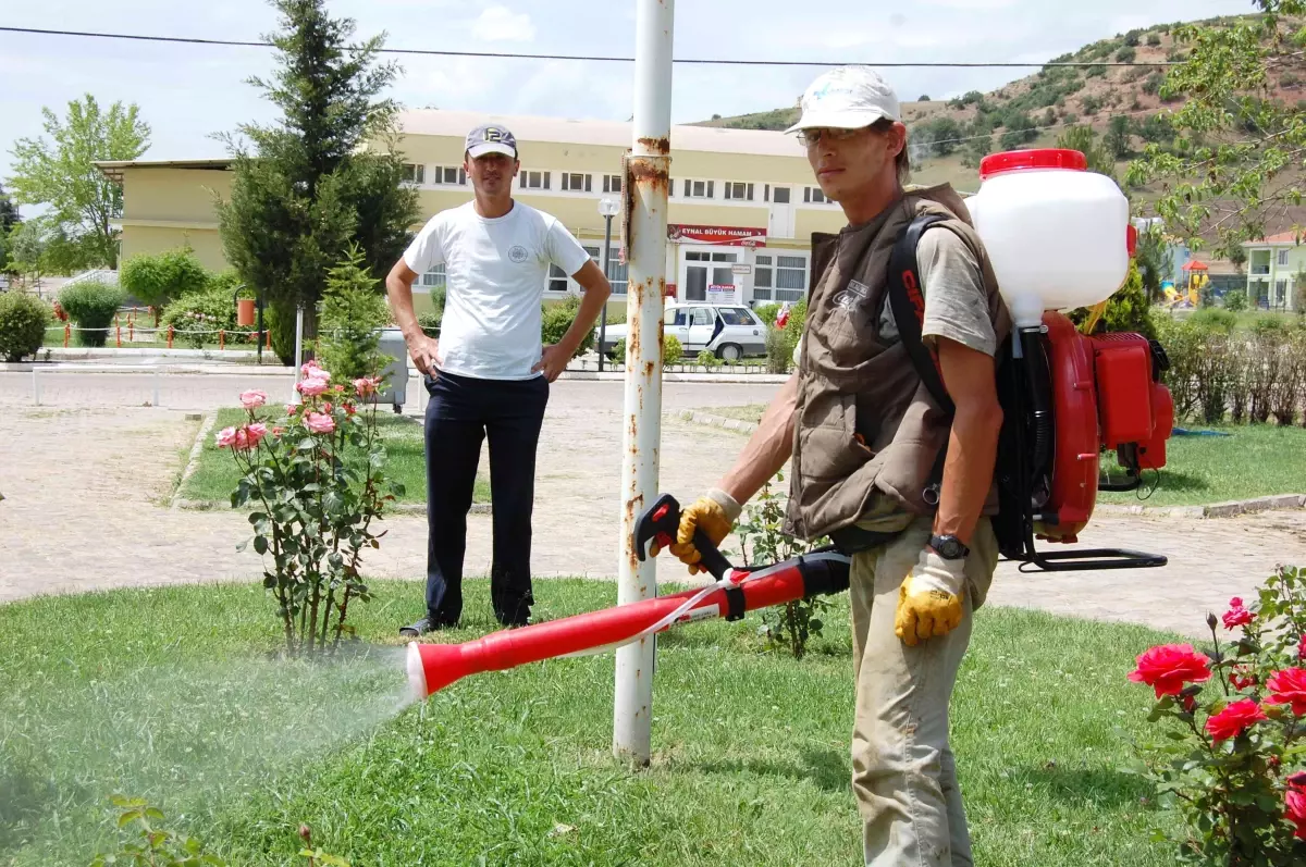 Piknik Alanları Keneye Karşı İlaçlandı