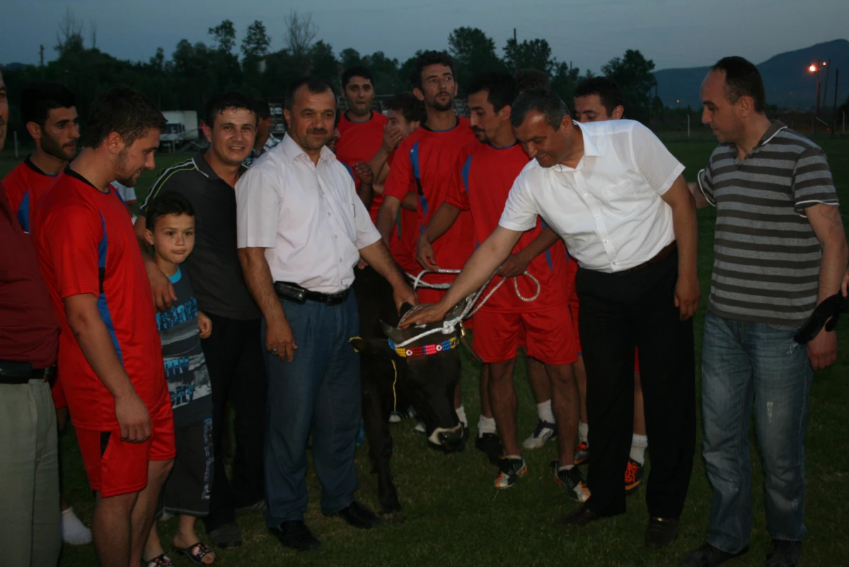 Saltukova\'da Düzenlenen Boğa Ödüllü Futbol Turnuvasında Yeniköy Şampiyon Oldu