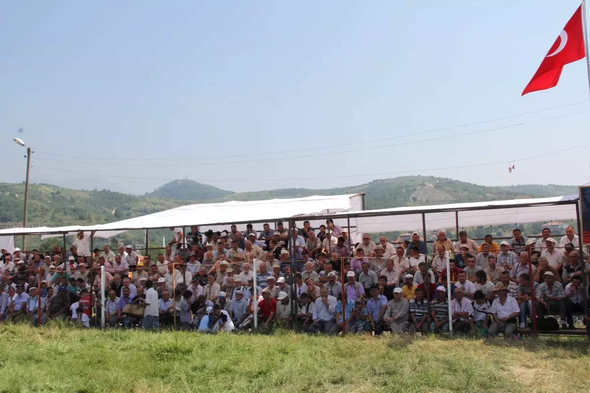 Çatak Yağlı Pehlivan Güreşleri Nefes Kestı