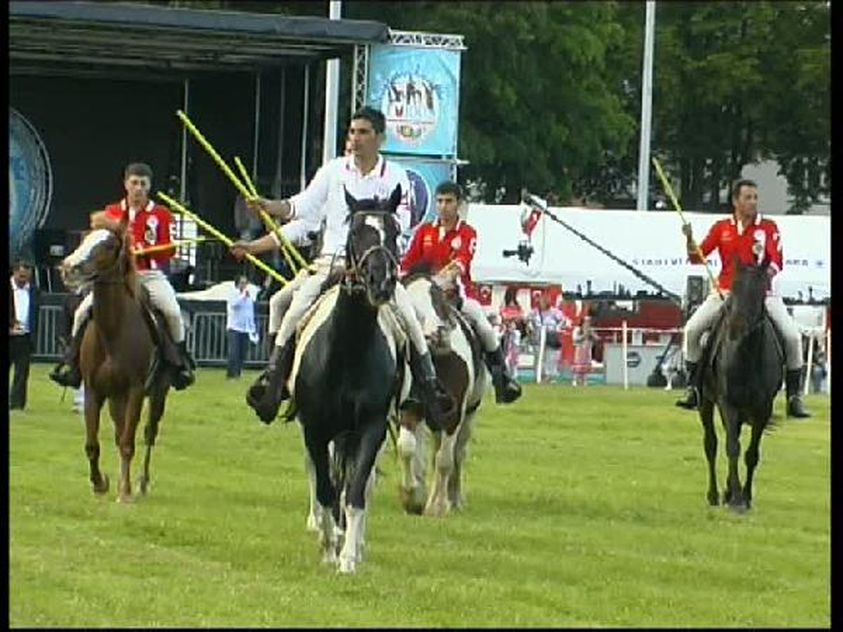 Festival Coşkulu Geçti