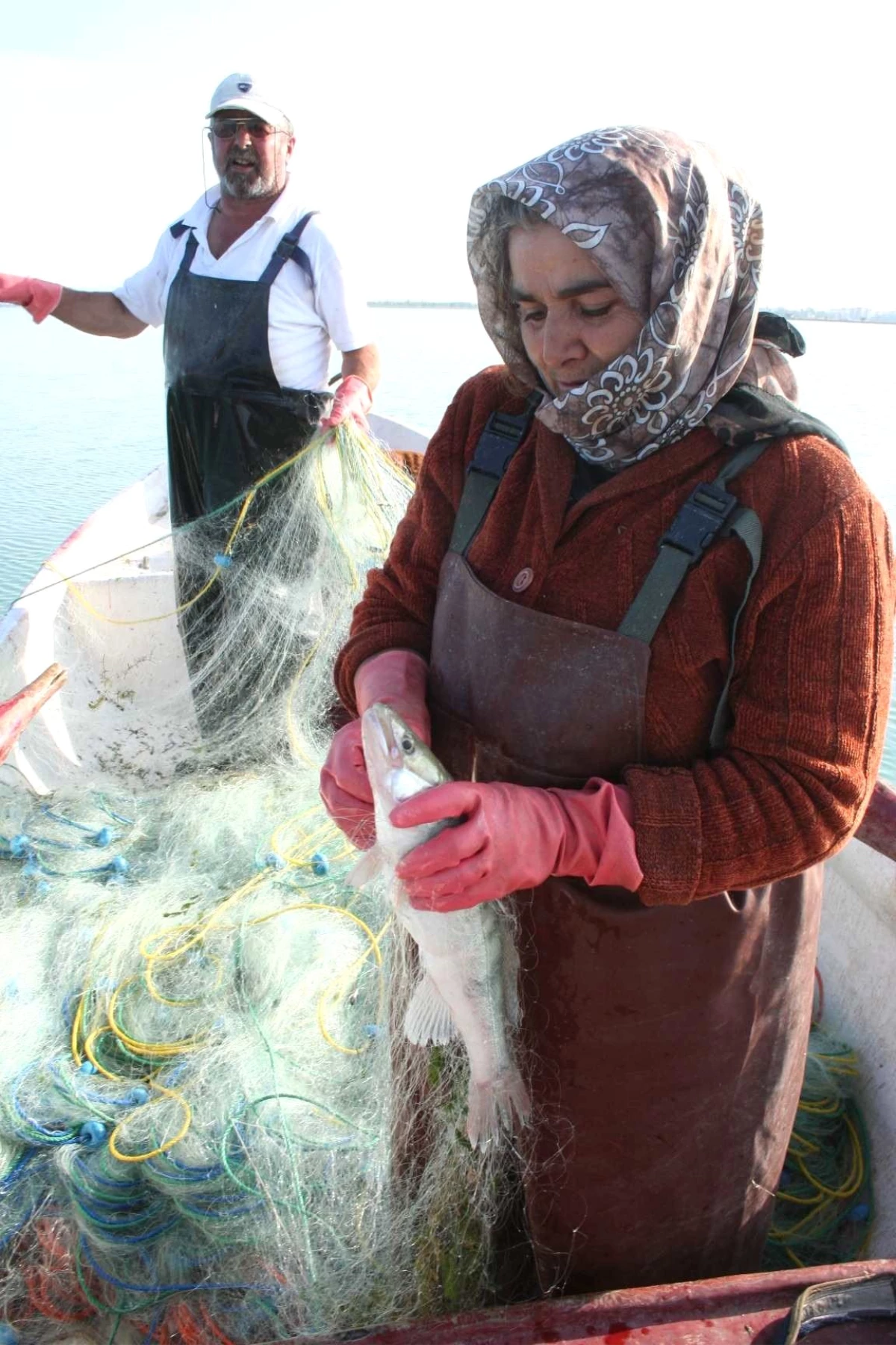 Kadın Balıkçılar Kürek Çekiyor, Göle Ağ Seriyor