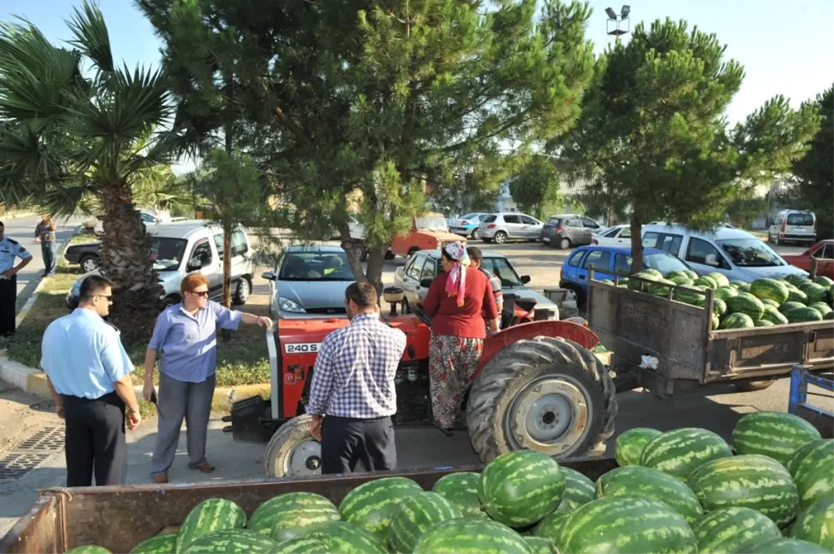 Zabıtadan Şafak Operasyonu