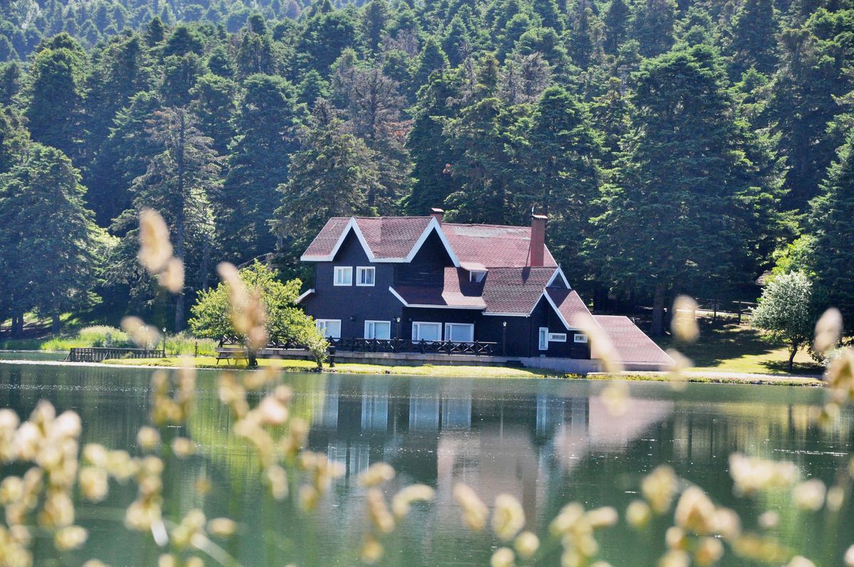 Bank Asya 1.lig