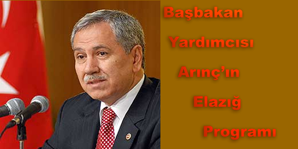 Başbakan Yardımcısı Arınç\'ın Elazığ Programı
