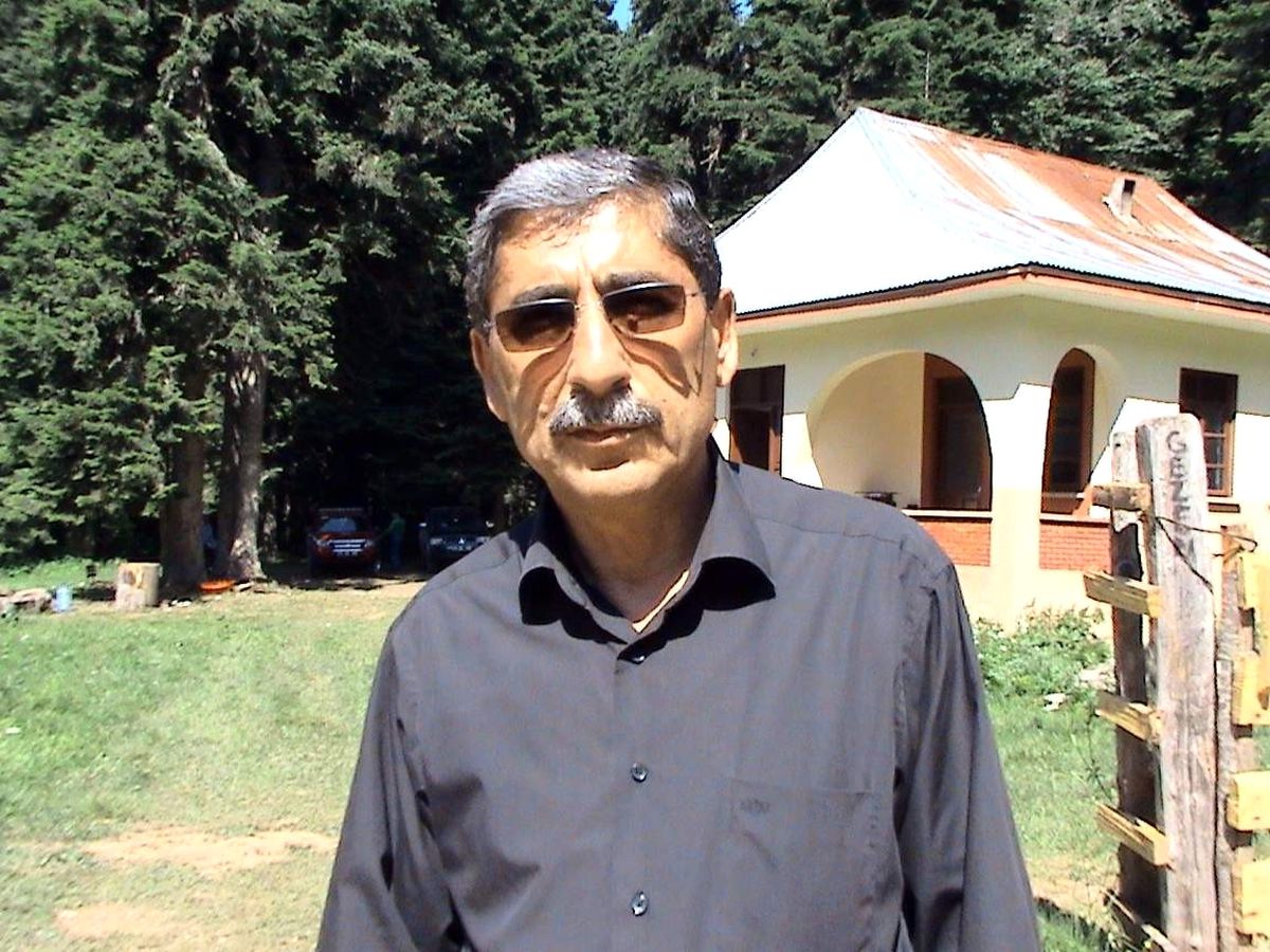 Kalkınma Kooperatifleri, Dikili Satışlardan Rahatsız