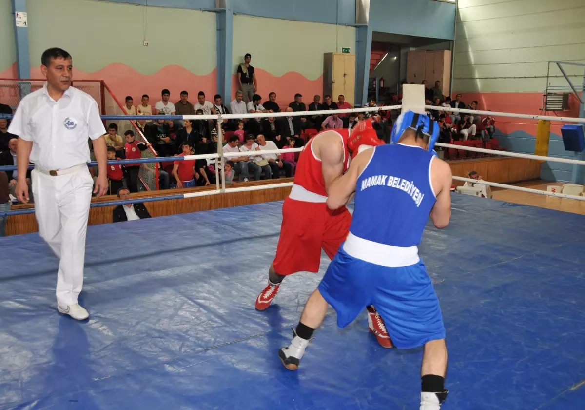 Mamak\'ın Altın Yumrukları Madalyaları Topluyor