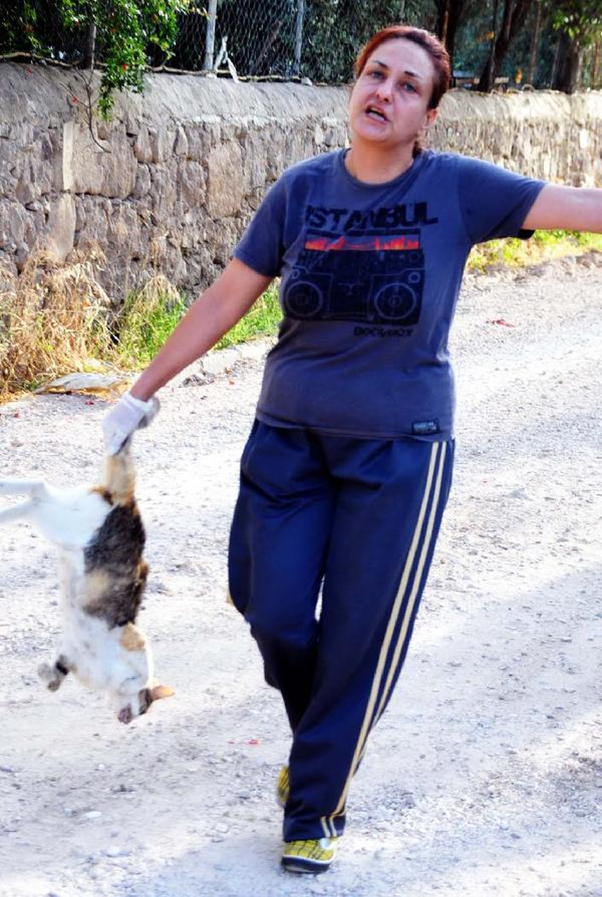 Mezarlıkta İşkenceyle Öldürülen Kedi İçin Şikayet