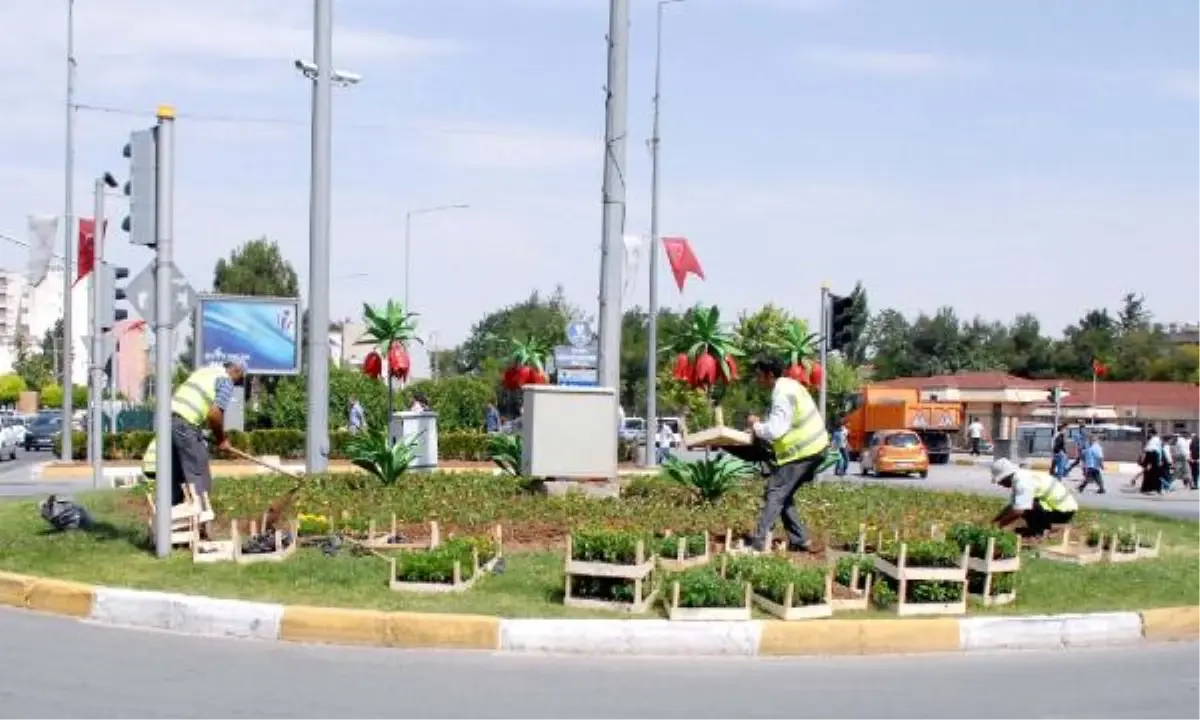 Adıyaman'a Yaz Çiçekleri
