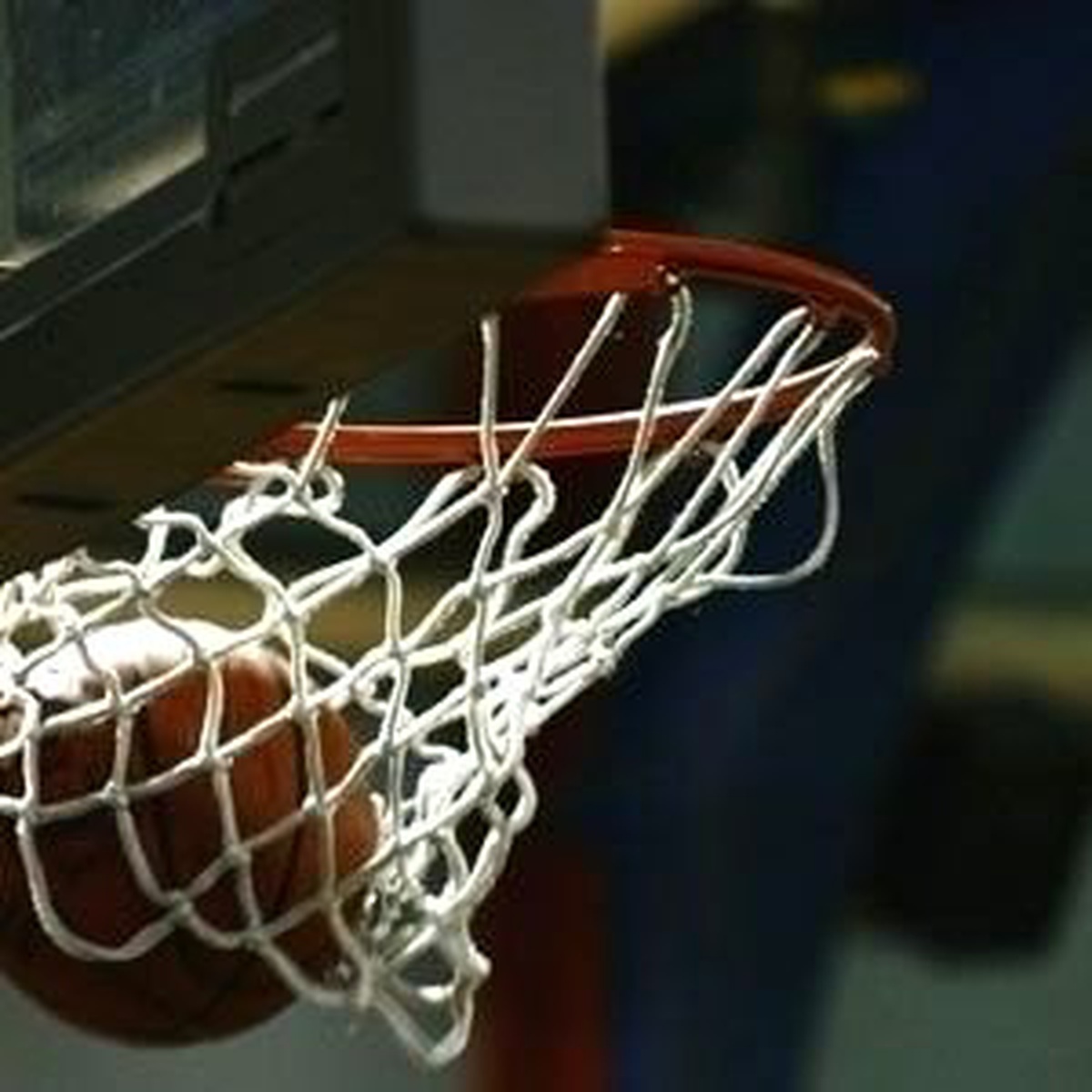 Basketbol: Fıba Kadınlar Olimpiyat Elemeleri