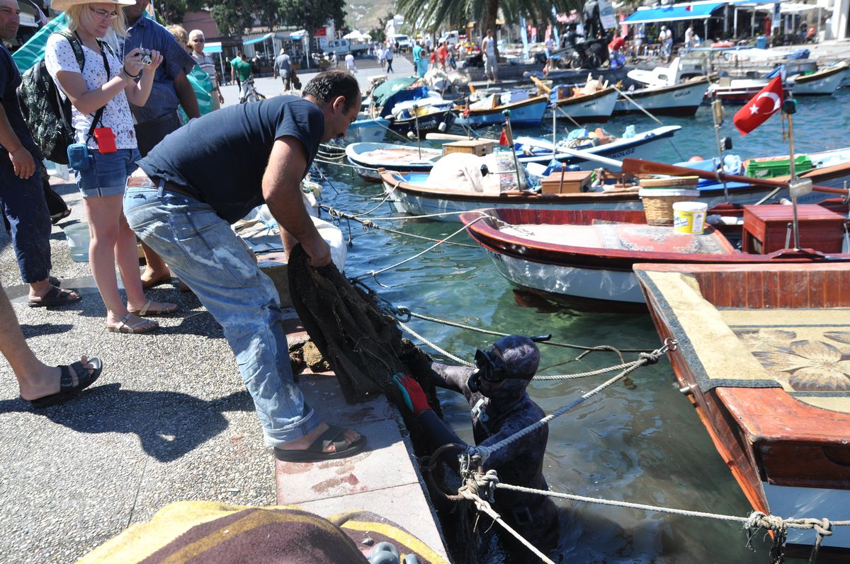 Foça\'da Deniz Dibi Temizliği Yapıldı
