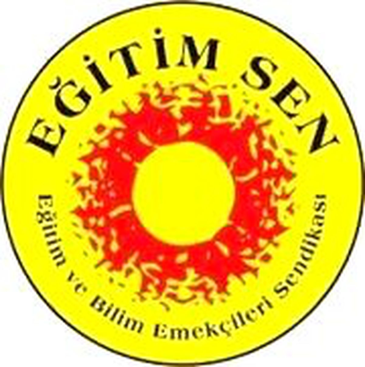 Muğla\'da Eğitim Sendikalarının Yetki Tespiti