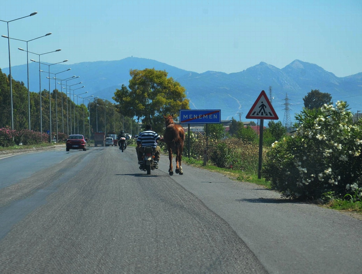 Otoyolda Motosikletin Beygir Eşliğindeki Seyri Şaşırttı