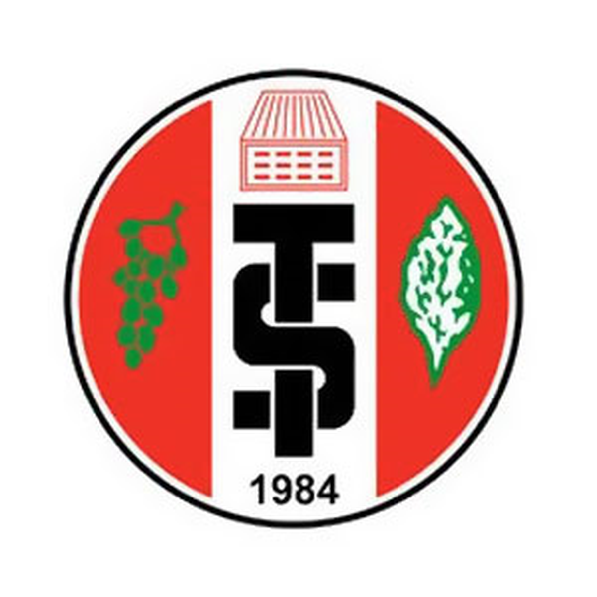 Turgutluspor Eski Futbolcuları Raşit ve Şevket\'i Alıyor