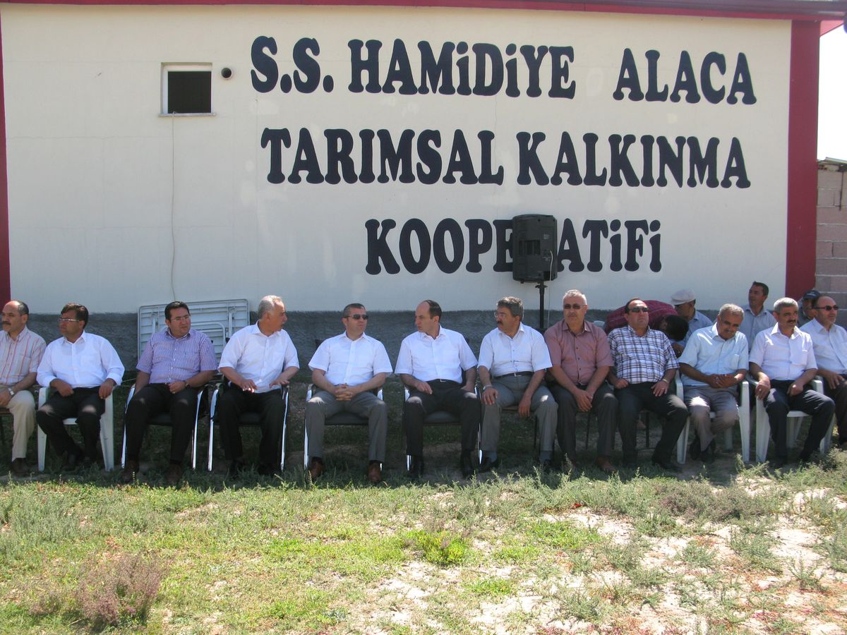 Aksaray\'da Çiftçilere Damızlık Gebe Düve Dağıtıldı