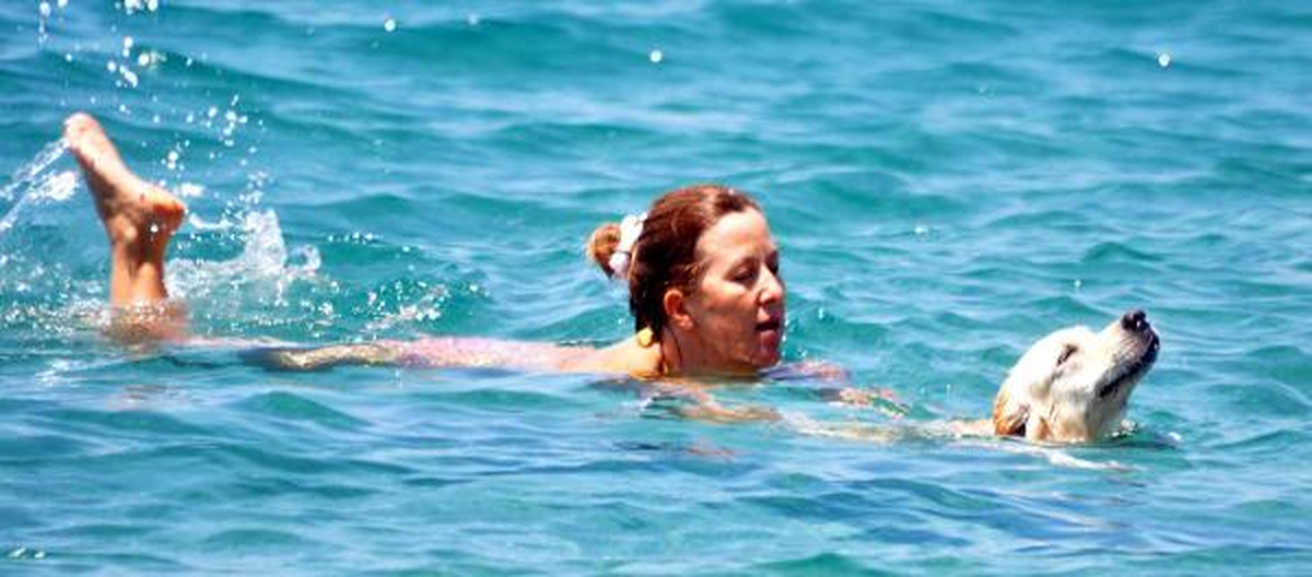 Bodrum Sahilleri Cıvıl Cıvıl