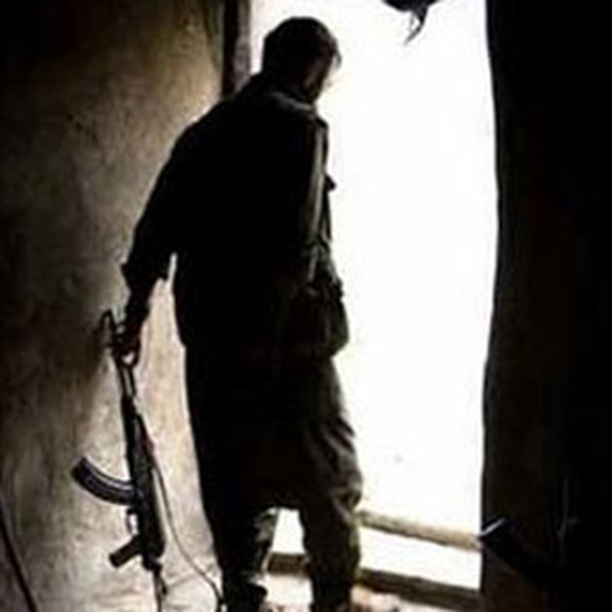 Çukurca\'da Bir PKK\'lı Teslim Oldu