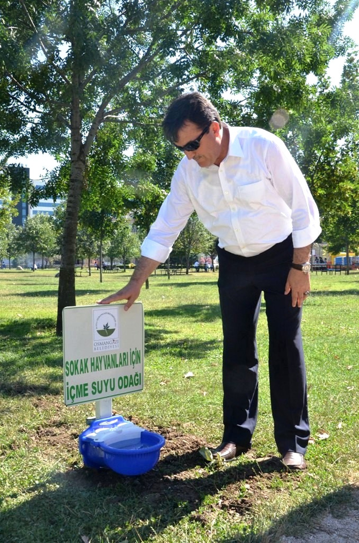 Sokak Hayvanlarına Osmangazi Şefkati