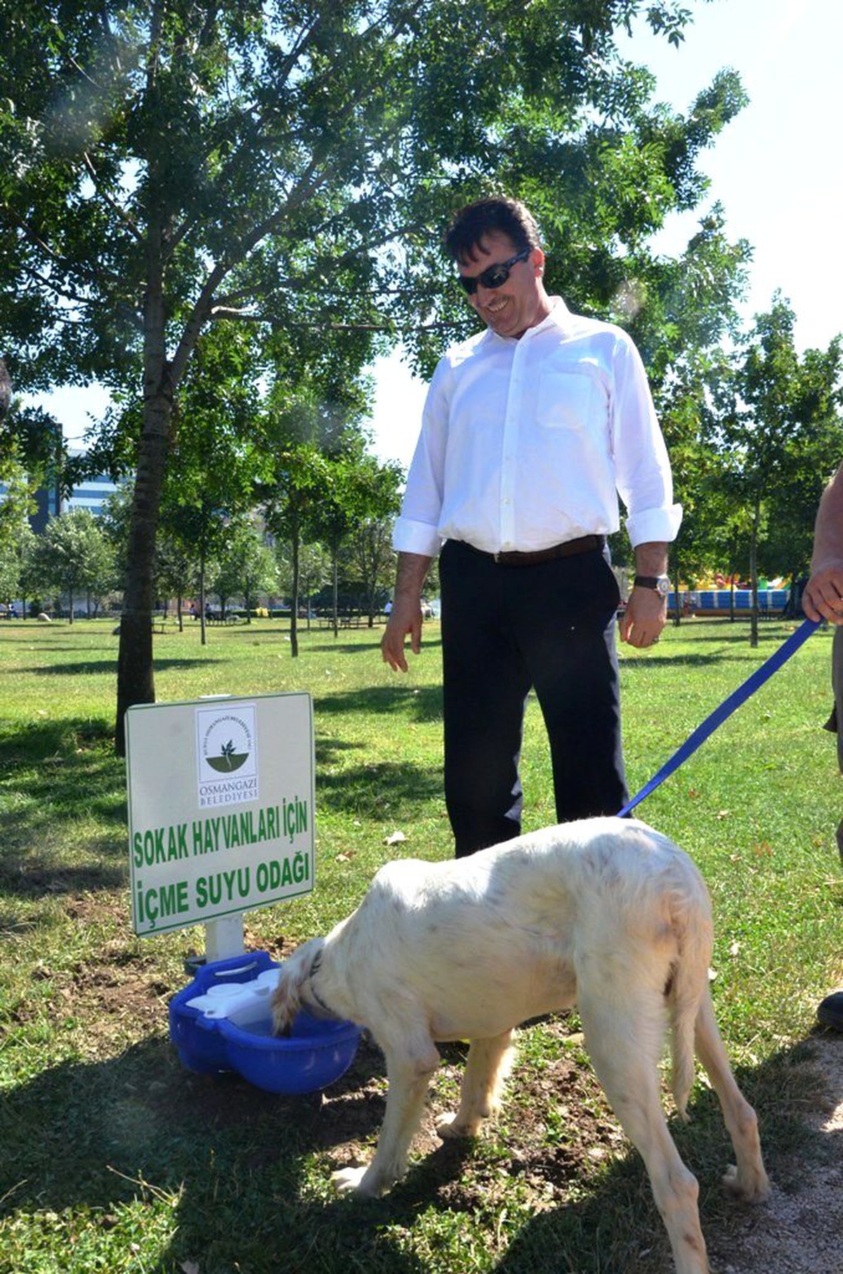 Sokaktaki Canlılara Osmangazi Şefkati