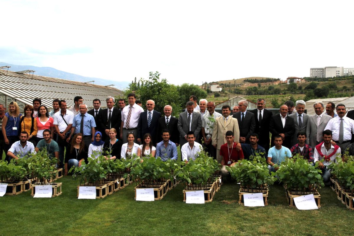 Tokat\'ta 2 Bin 800 Adet Tüplü Asma Fidanı Dağıtıldı