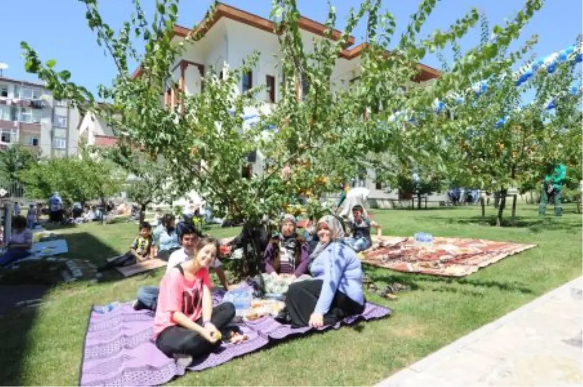 Bağcılar\'da Kayısı Dalından Yenir