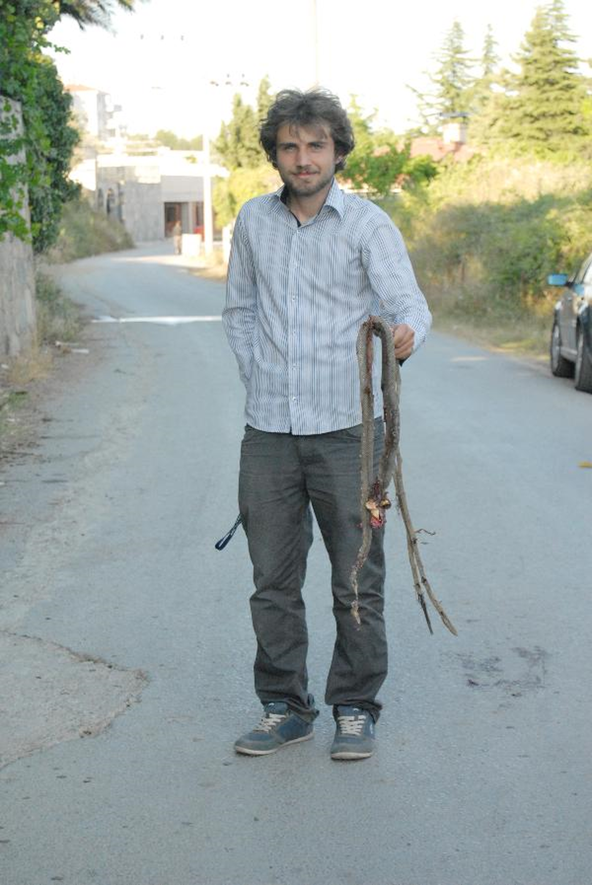 Gebze Eskihisar\'da Yılan Korkusu