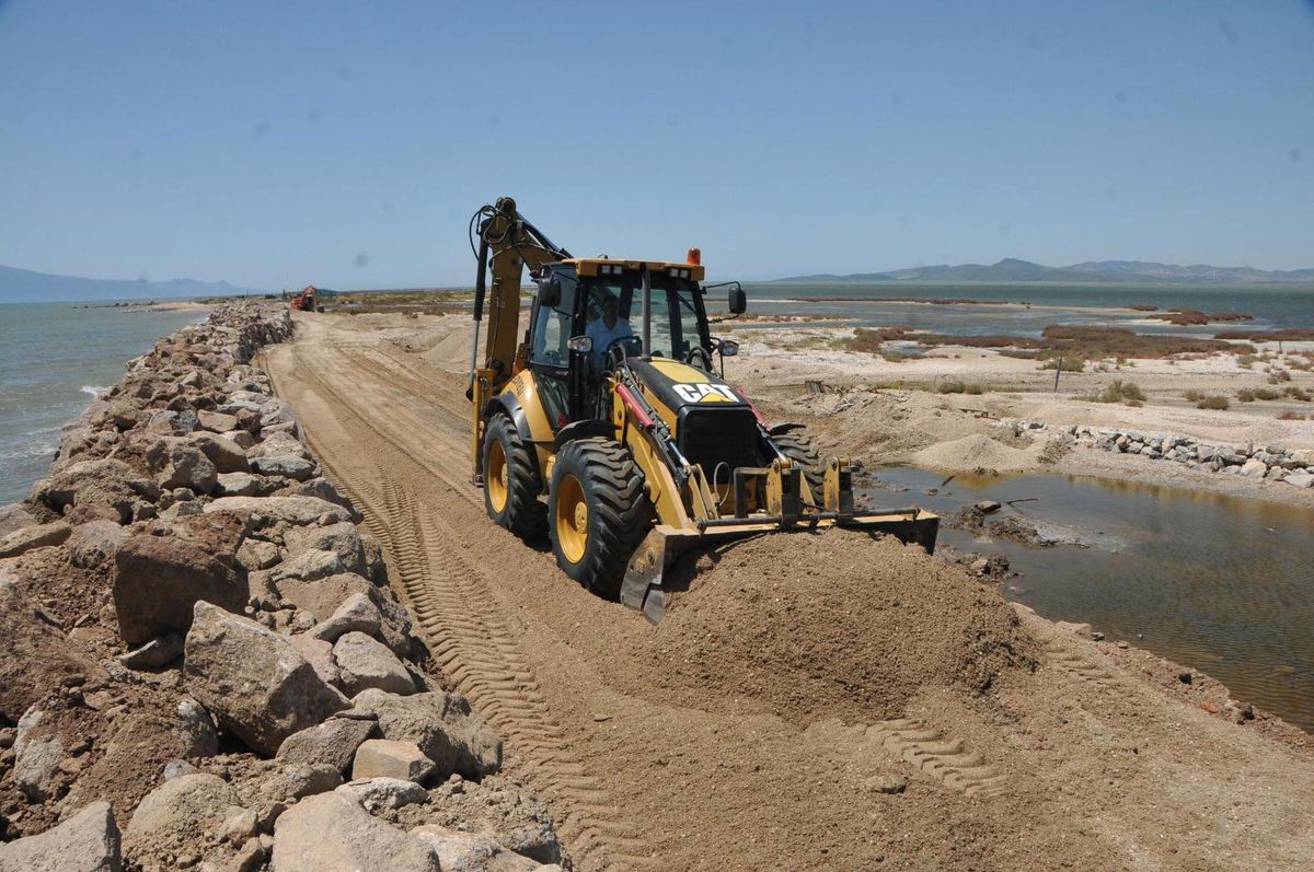 Homa Dalyanı Yok Olmaktan Kurtuldu