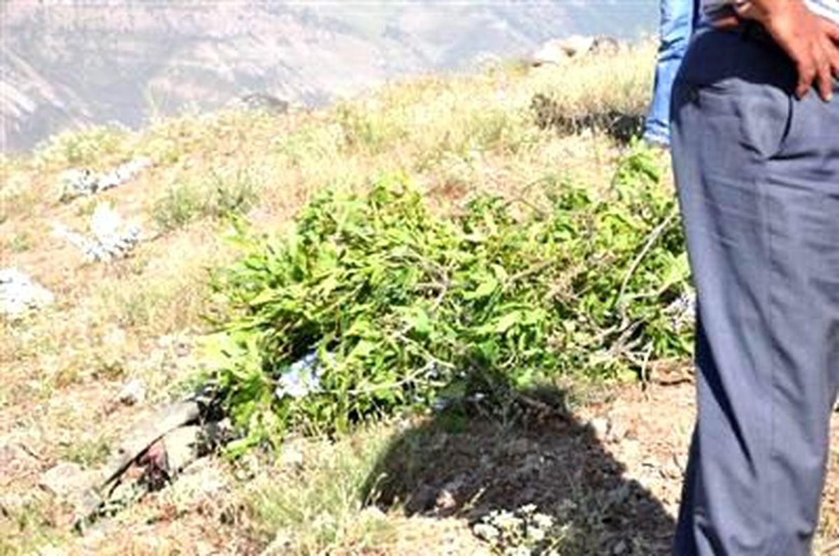 Şırnak\'ta Mayın Patladı: 1 Korucu Şehit