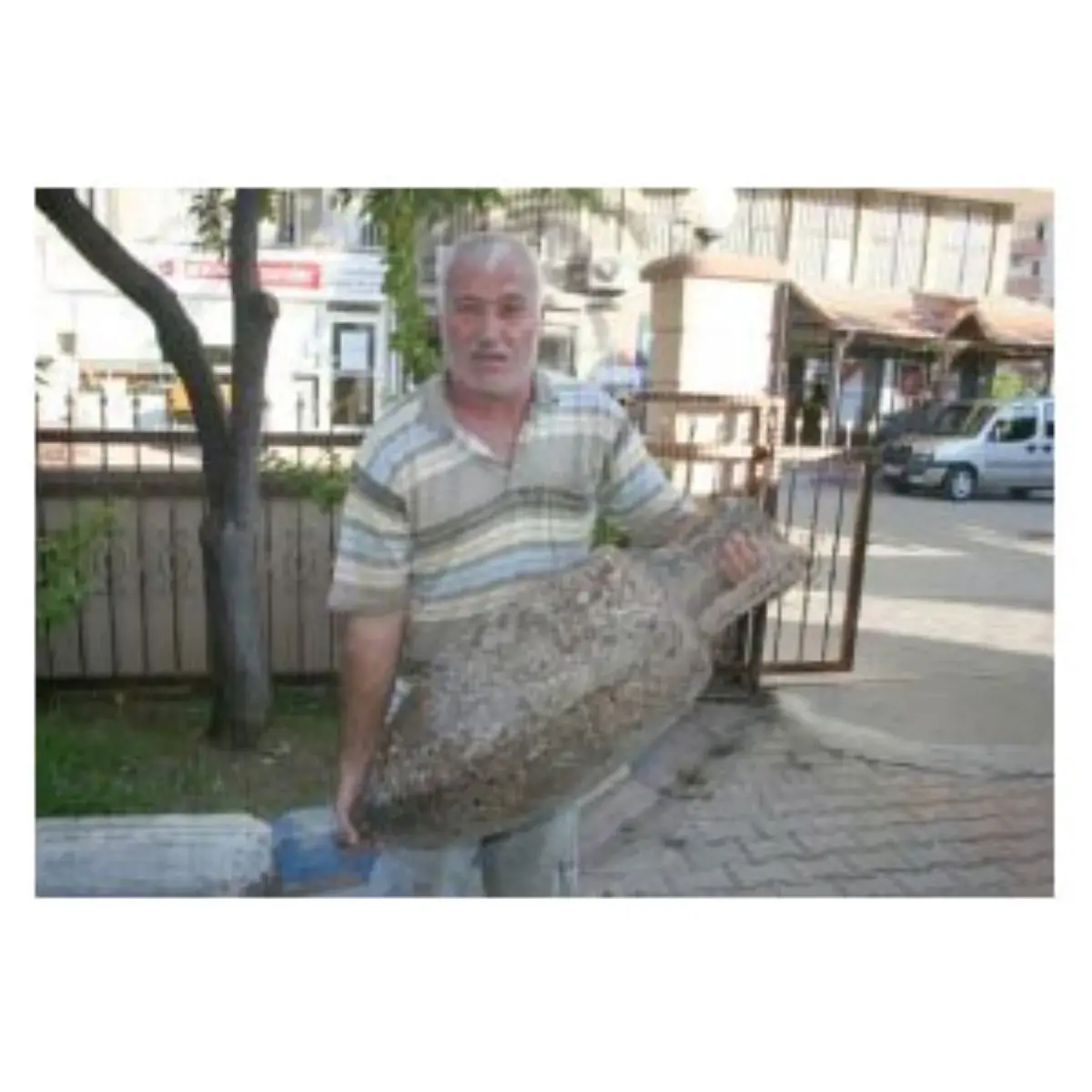 Balıkçı Ağına Tarih Takıldı