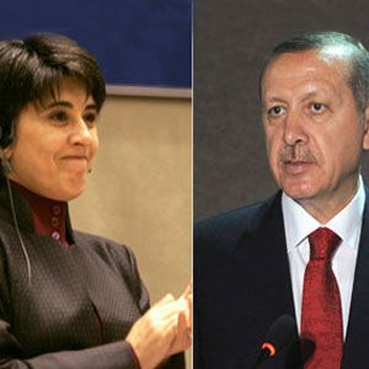 Başbakan Erdoğan - Leyla Zana Görüşmesi
