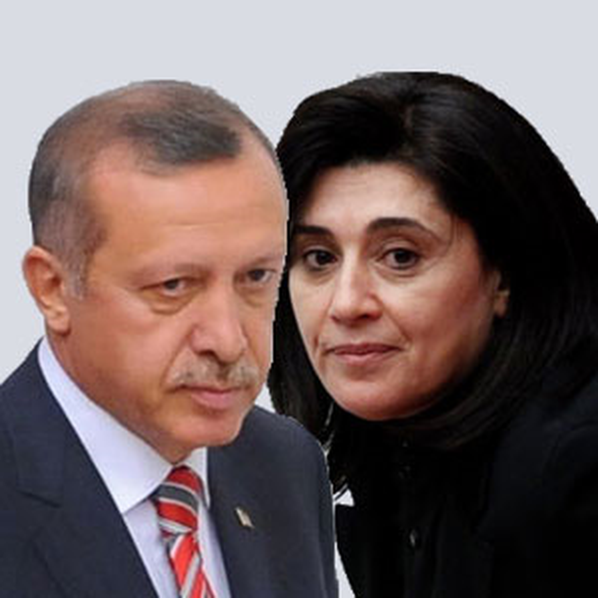 Başbakan Erdoğan-Zana Görüşmesi