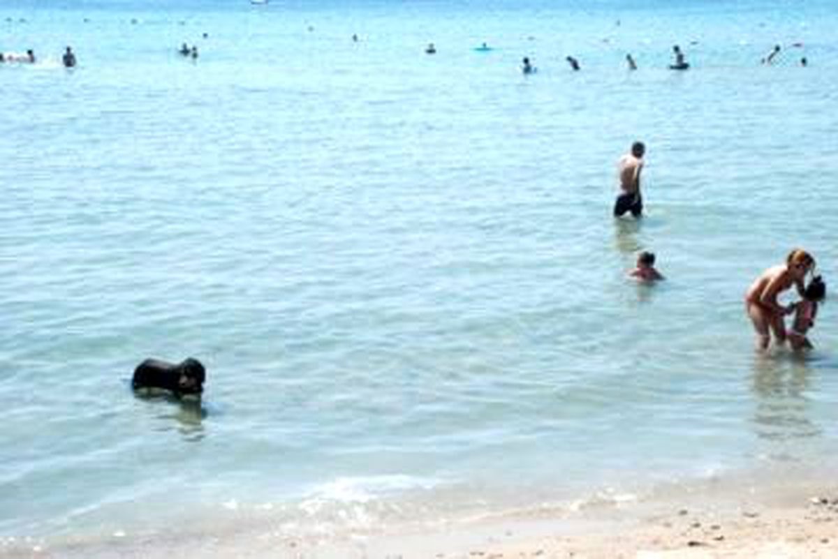Didim\'de Deniz Manzaraları