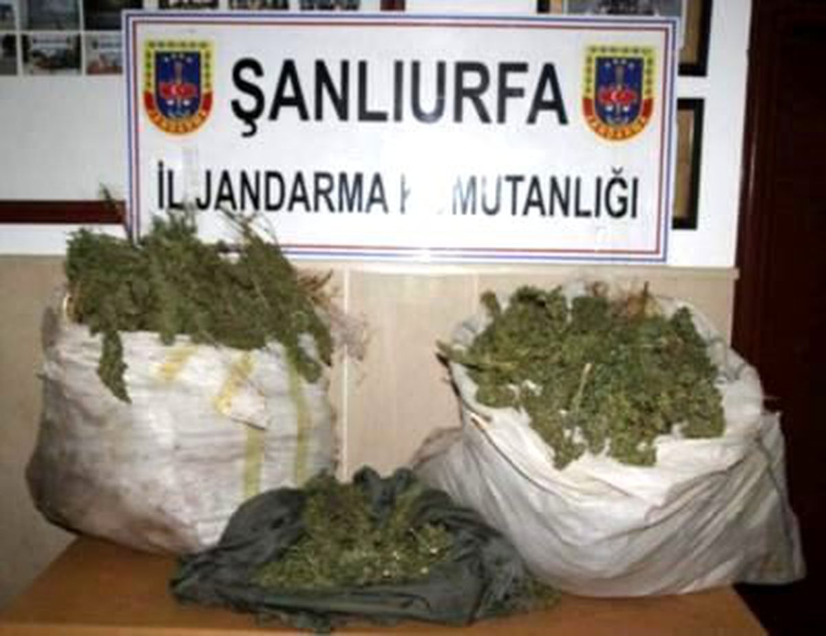 Jandarmadan Esrar Operasyonu