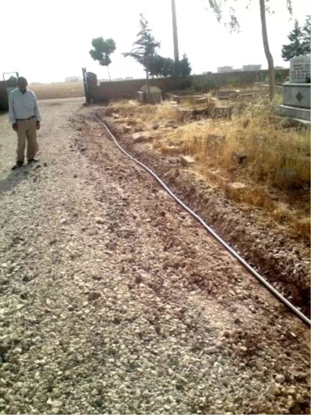 Kızıltepe'de Mezarlıklara Bakım