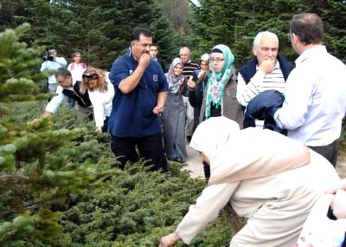 Uludağ\'da Yaz Keyfi Başladı