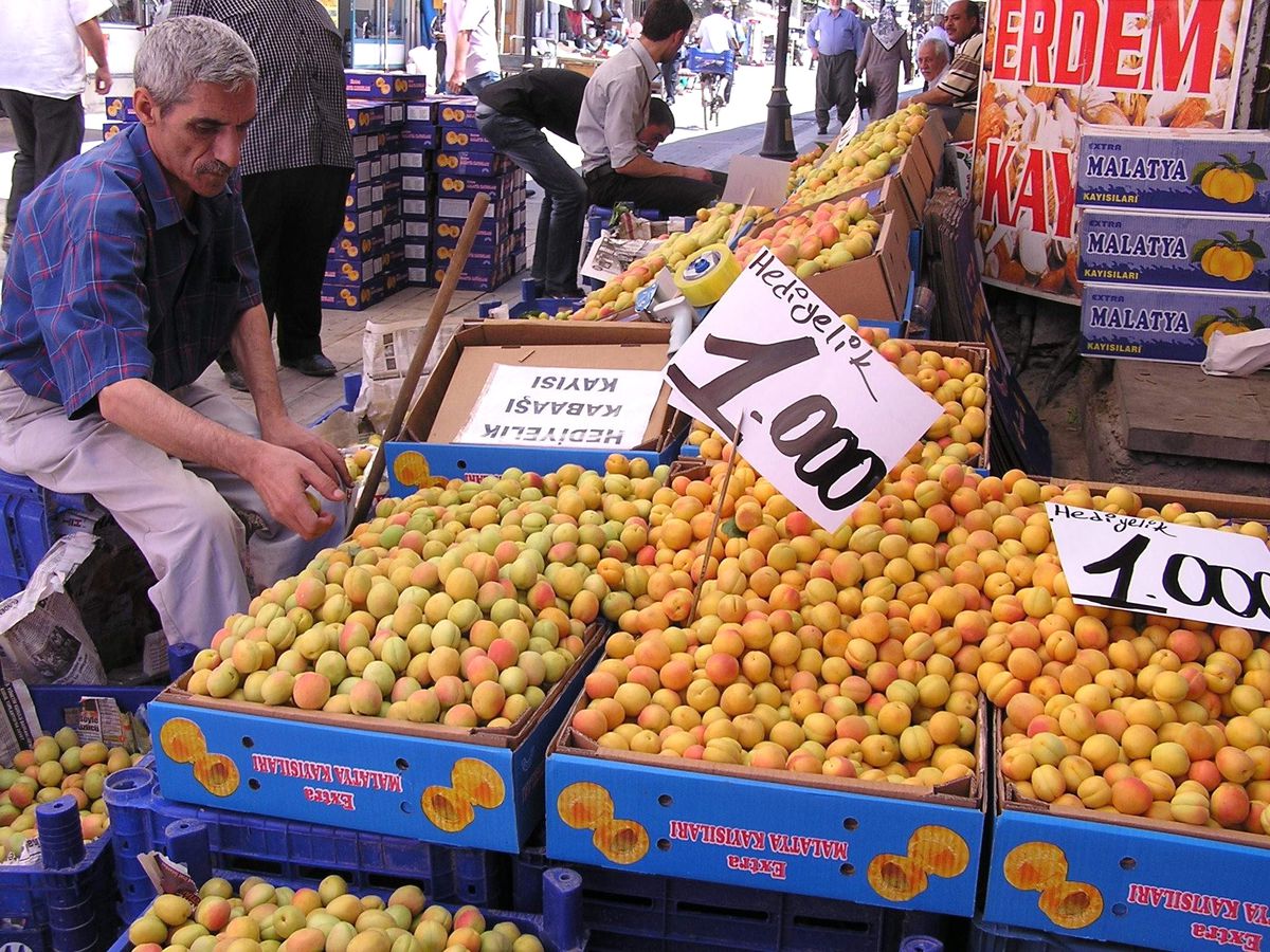 Yaş Kayısı 1 TL\'ye Kadar Düştü