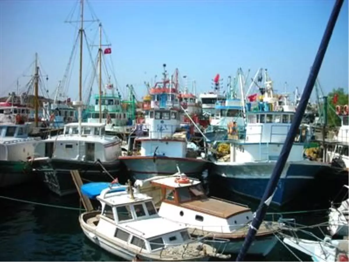 Balıkçılardan Başbakan Erdoğan'a Açık Mektup