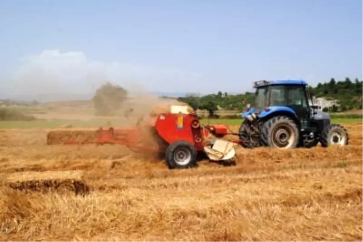 Biçer Döver Tartışması Kanlı Bitti