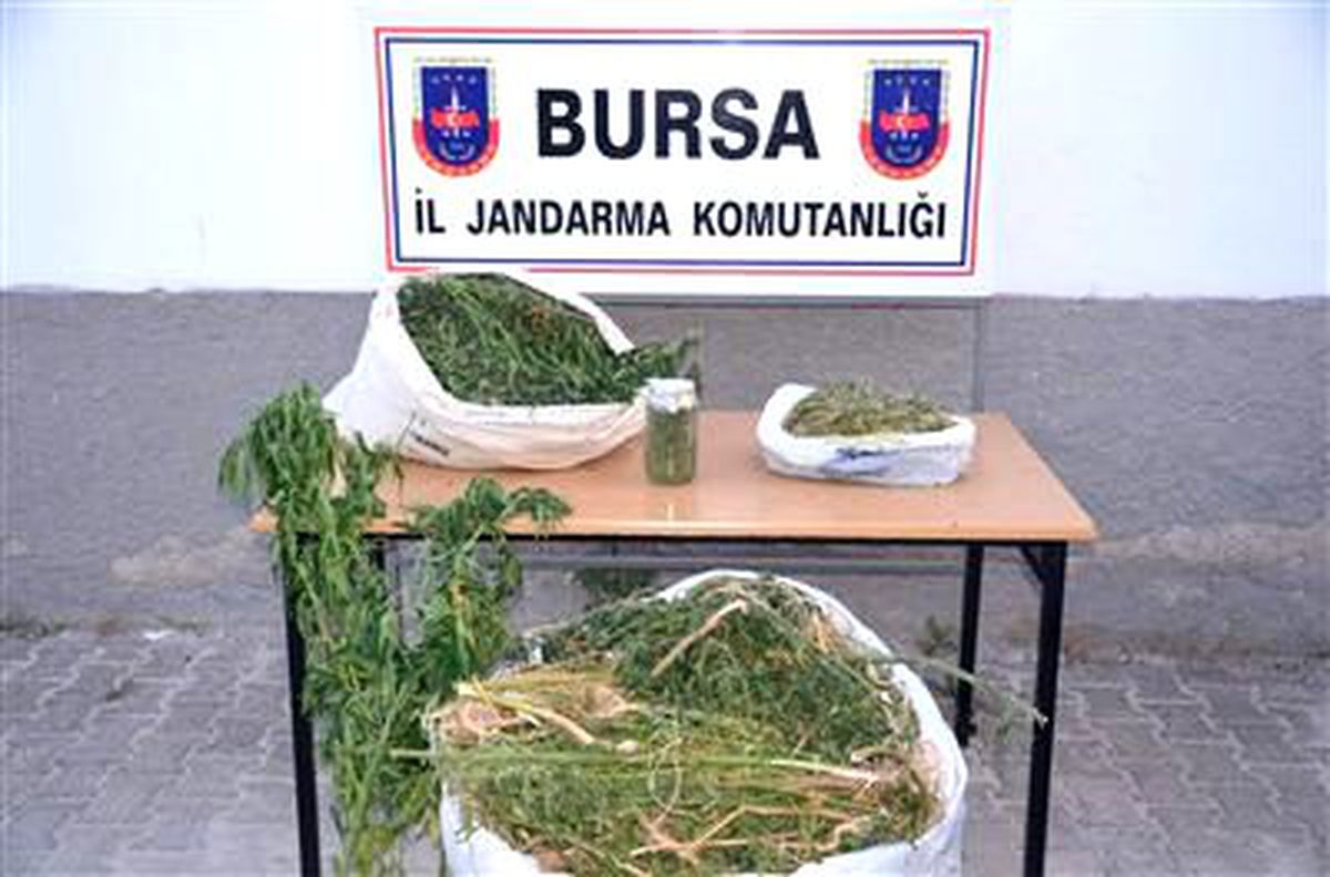 Bursa\'da Narkotik Köpeği Varisten Bingo
