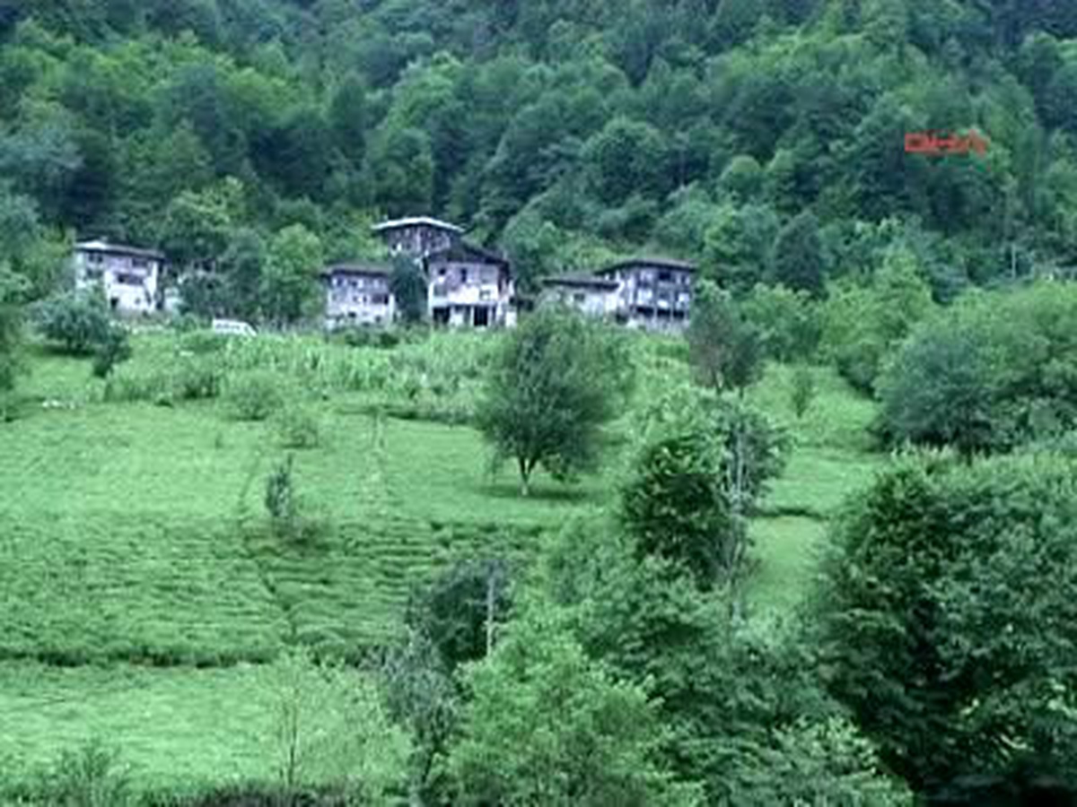 Rize1 Yarışmanın Birincisi, Çay Demlemenin İnceliklerini Anlattı