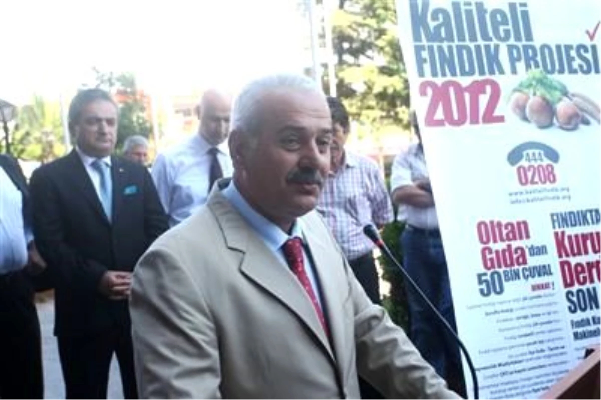 Trabzon\'da Kaliteli Fındık Projesi