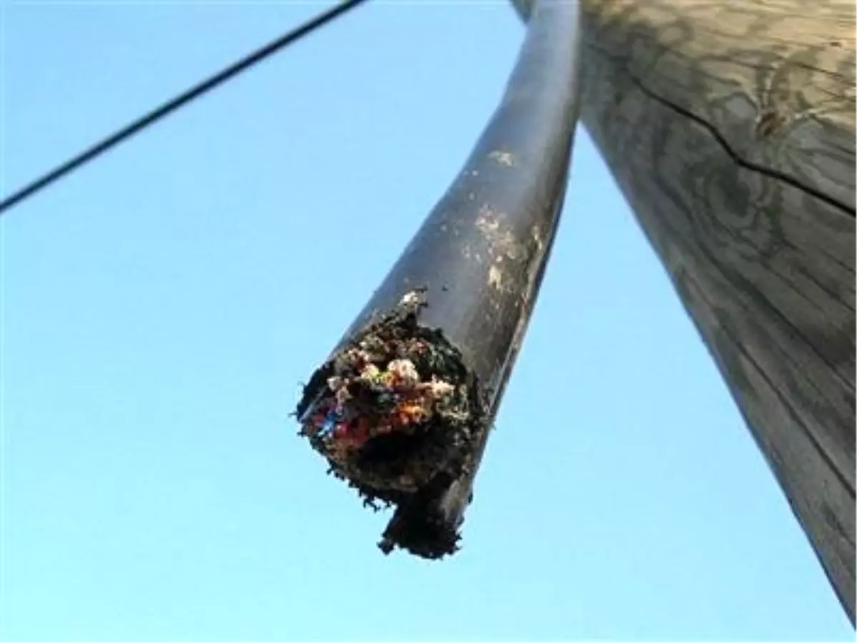 Türk Telekom Müdürü Karakaş'tan Kablo Hırsızlığına Tepki