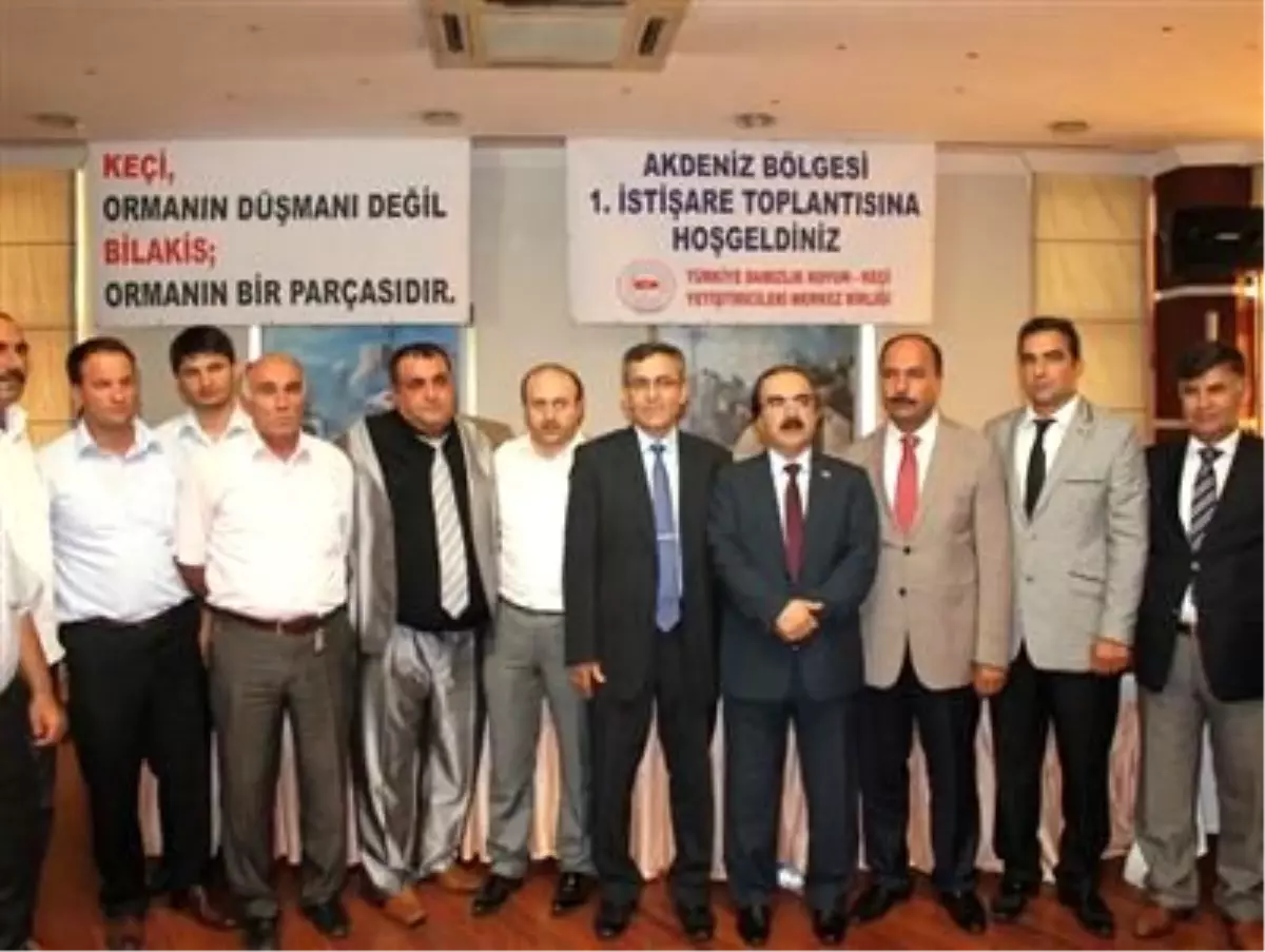 Adana\'da Küçük Baş Hayvancılık Masaya Yatırıldı