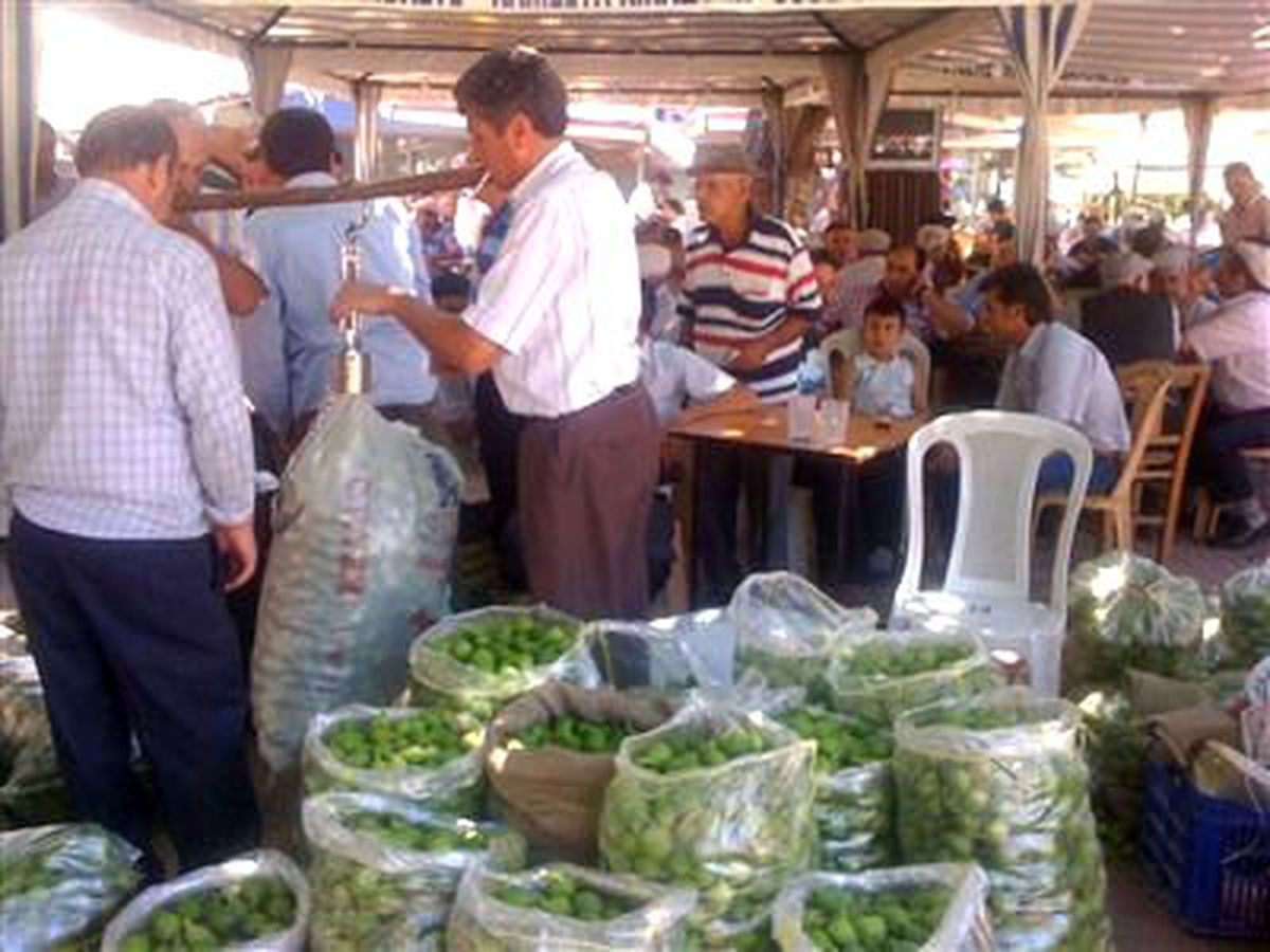 Aydın\'da İlek Hareketliliği
