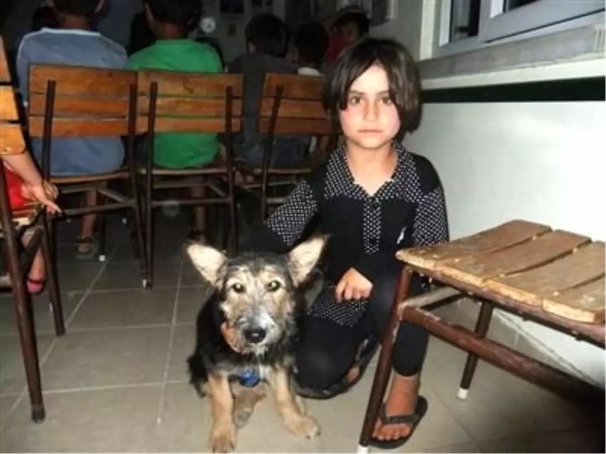 "Bizim Köyün Çocukları Projesi"