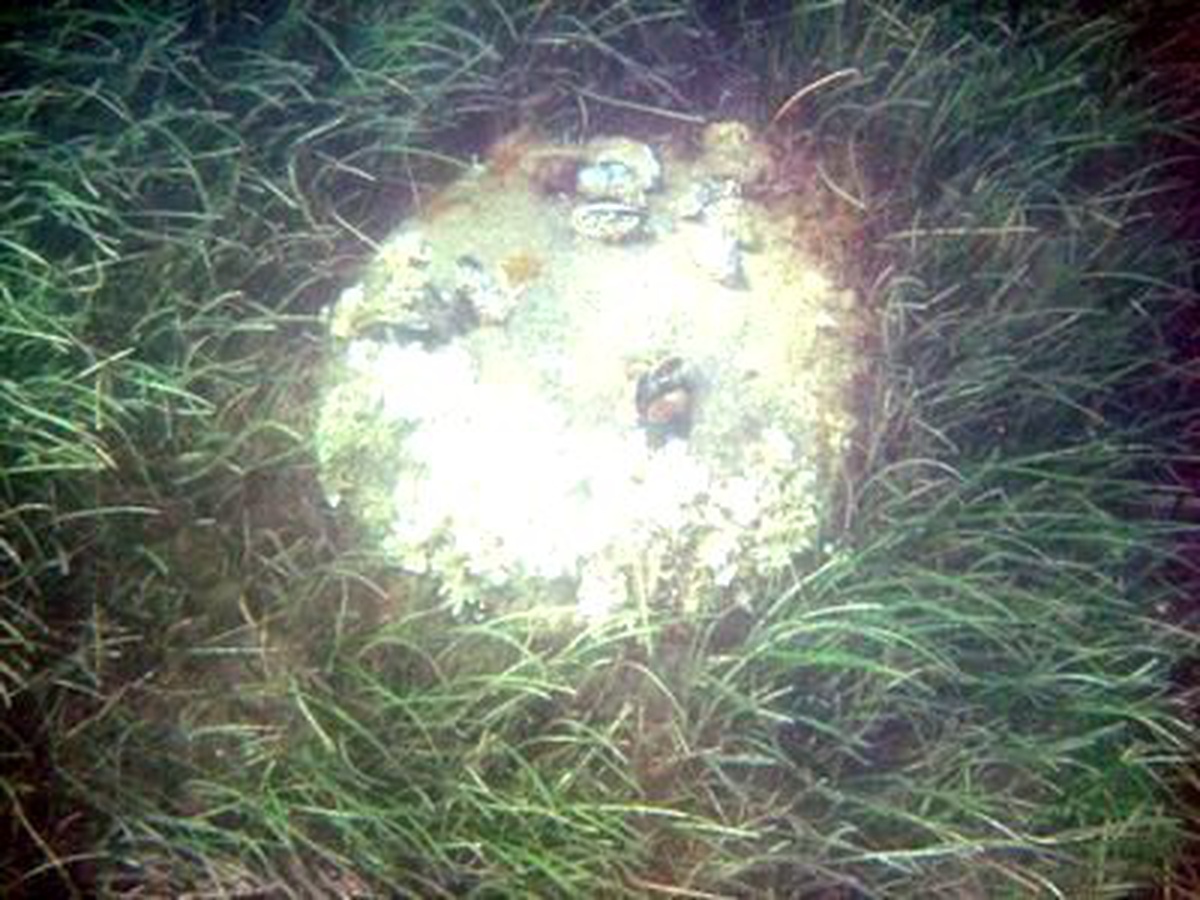 Çanakkale Boğazı\'nda, Mayın Olduğu Sanılan Cisim Bulundu